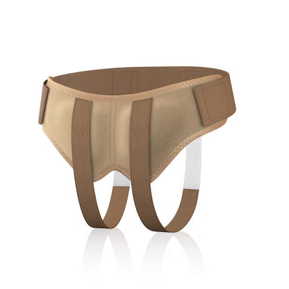 Brown dog muzzle on a white background